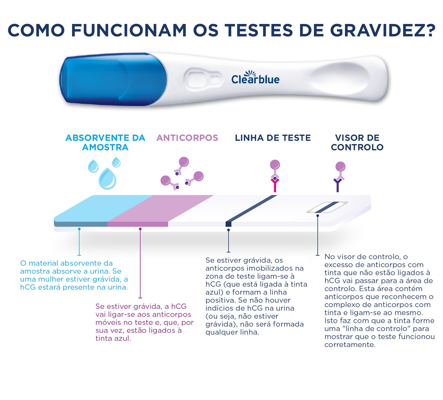 Um teste de gravidez digital Clearblue acompanhado por uma ilustração a mostrar a secção transversal do teste para mostrar como funciona um teste de gravidez