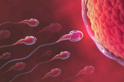 Mitos e factos sobre fertilidade 