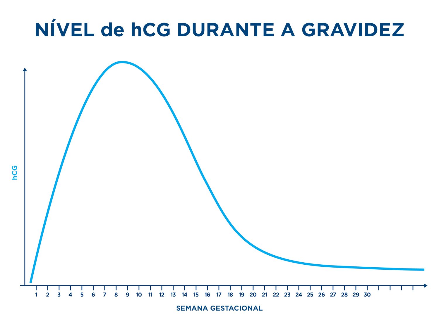 Níveis De Hcg Tudo O Que Precisa De Saber Clearblue 